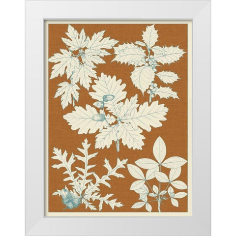Leaves from Nature IV White Modern Wood Framed Art Print by Vision Studio