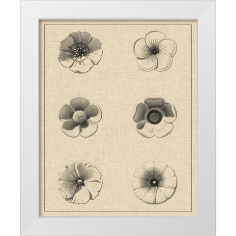 Floral Rosette I White Modern Wood Framed Art Print by Vision Studio