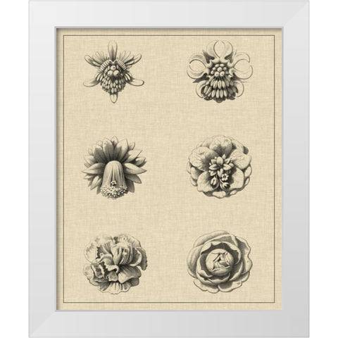 Floral Rosette III White Modern Wood Framed Art Print by Vision Studio