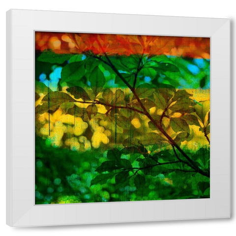 Abstract Leaf Study I White Modern Wood Framed Art Print by Jasper, Sisa