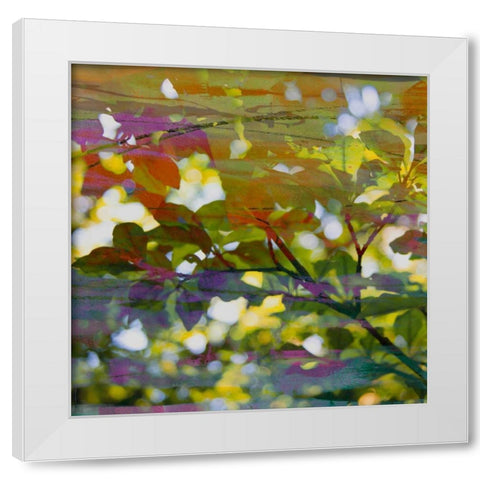 Abstract Leaf Study II White Modern Wood Framed Art Print by Jasper, Sisa