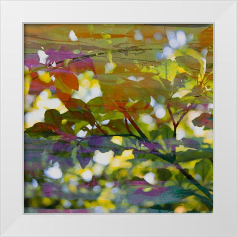 Abstract Leaf Study II White Modern Wood Framed Art Print by Jasper, Sisa