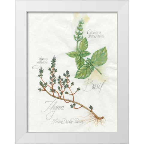 Basil and Thyme White Modern Wood Framed Art Print by Della-Piana, Elissa