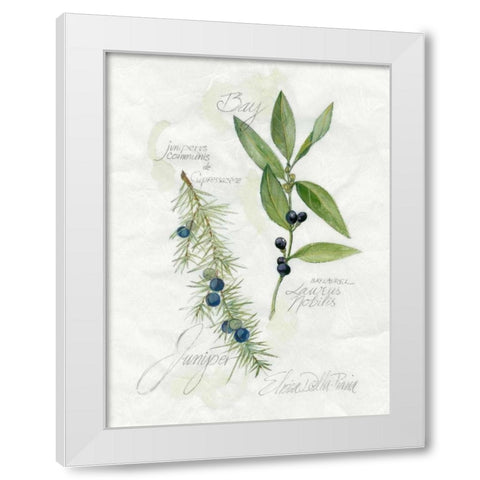 Bay Leaf and Juniper White Modern Wood Framed Art Print by Della-Piana, Elissa