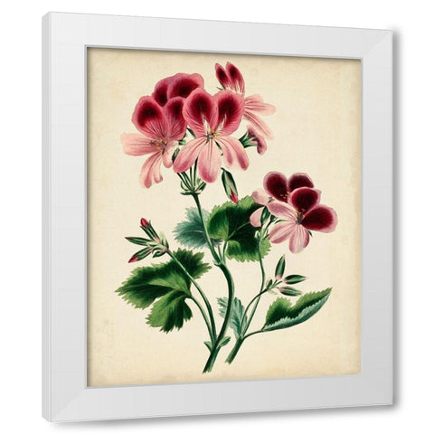 Natures Romance IV White Modern Wood Framed Art Print by Vision Studio