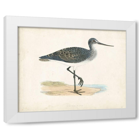 Morris Sandpiper III White Modern Wood Framed Art Print by Morris
