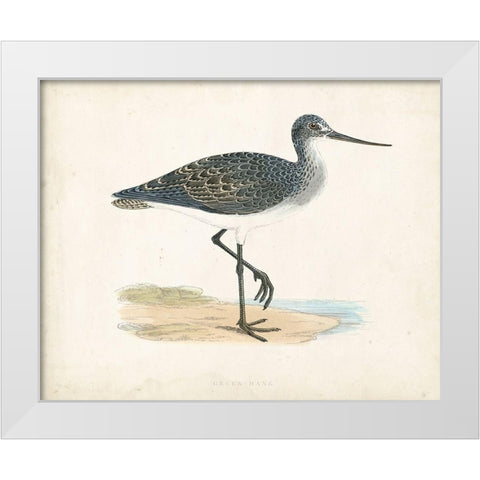 Morris Sandpiper III White Modern Wood Framed Art Print by Morris