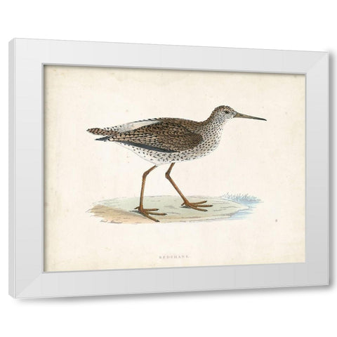 Morris Sandpiper V White Modern Wood Framed Art Print by Morris