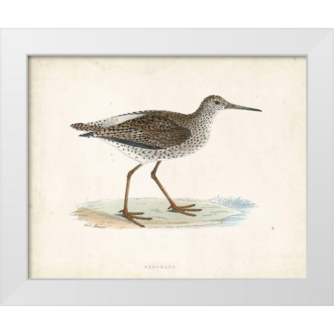 Morris Sandpiper V White Modern Wood Framed Art Print by Morris