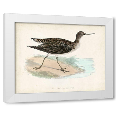 Morris Sandpiper VII White Modern Wood Framed Art Print by Morris