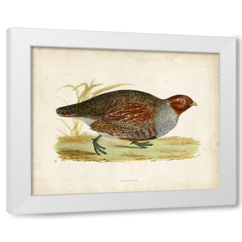 Morris Pheasants I White Modern Wood Framed Art Print by Morris