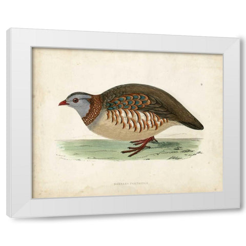 Morris Pheasants III White Modern Wood Framed Art Print by Morris