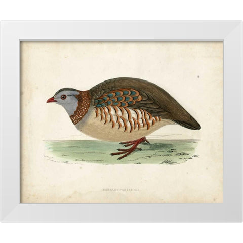 Morris Pheasants III White Modern Wood Framed Art Print by Morris