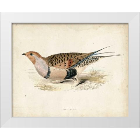 Morris Pheasants V White Modern Wood Framed Art Print by Morris