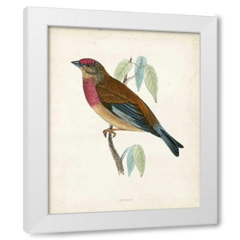 Morris Linnet White Modern Wood Framed Art Print by Morris