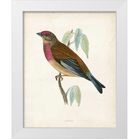 Morris Linnet White Modern Wood Framed Art Print by Morris