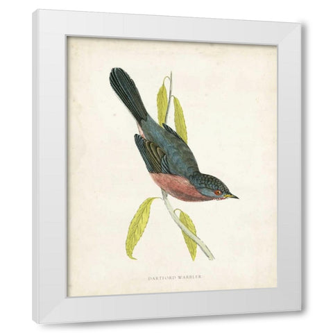 Morris Dartford Warbler White Modern Wood Framed Art Print by Morris