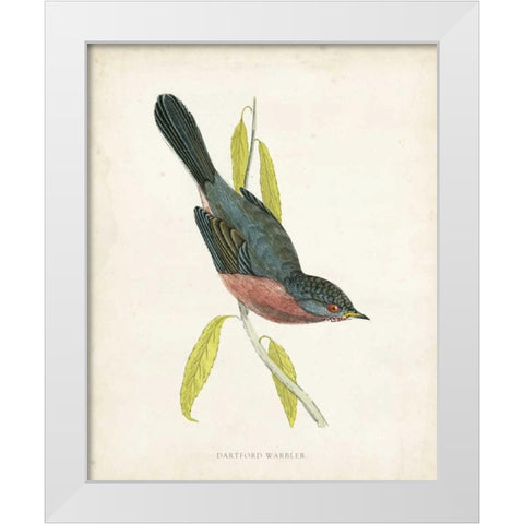 Morris Dartford Warbler White Modern Wood Framed Art Print by Morris