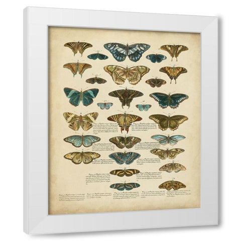 Tabula de Papilio White Modern Wood Framed Art Print by Sloan