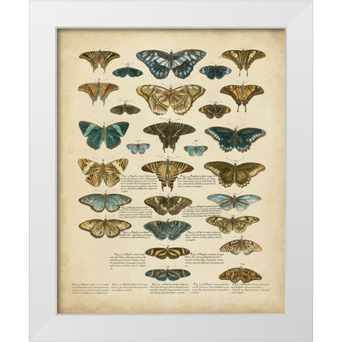 Tabula de Papilio White Modern Wood Framed Art Print by Sloan