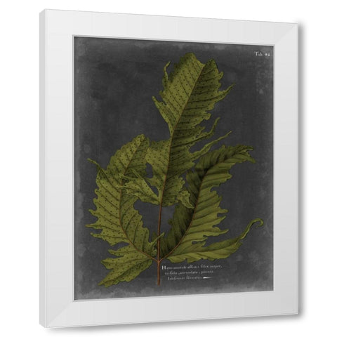 Foliage Dramatique I White Modern Wood Framed Art Print by Vision Studio