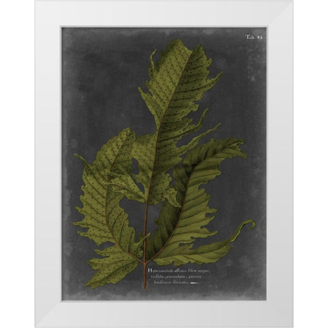 Foliage Dramatique I White Modern Wood Framed Art Print by Vision Studio