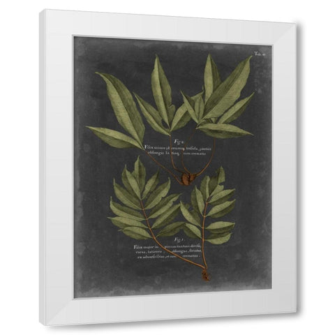Foliage Dramatique IV White Modern Wood Framed Art Print by Vision Studio
