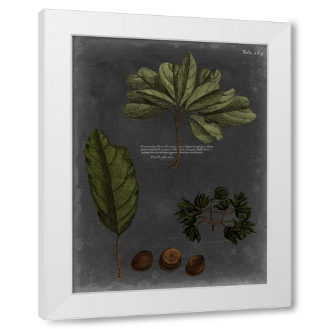 Foliage Dramatique VI White Modern Wood Framed Art Print by Vision Studio