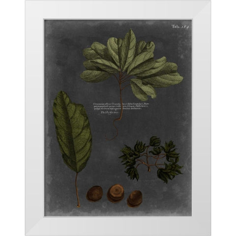 Foliage Dramatique VI White Modern Wood Framed Art Print by Vision Studio
