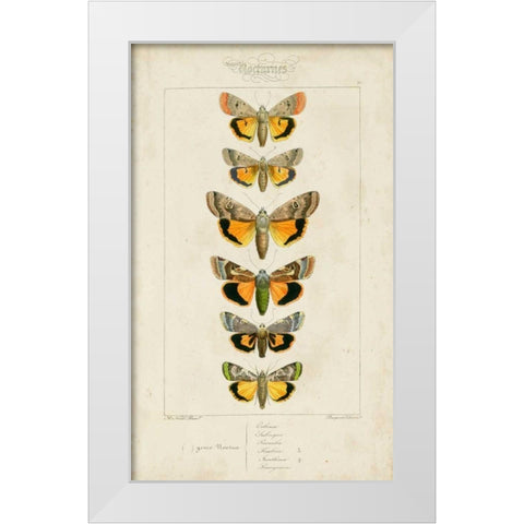 Pauquet Butterflies I White Modern Wood Framed Art Print by Pauquet