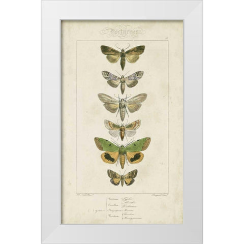 Pauquet Butterflies III White Modern Wood Framed Art Print by Pauquet