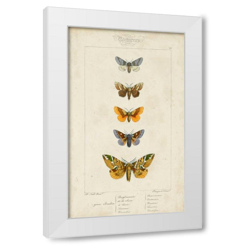 Pauquet Butterflies IV White Modern Wood Framed Art Print by Pauquet
