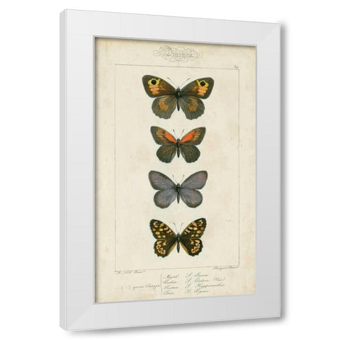 Pauquet Butterflies V White Modern Wood Framed Art Print by Pauquet