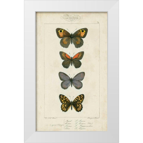 Pauquet Butterflies V White Modern Wood Framed Art Print by Pauquet