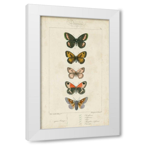 Pauquet Butterflies VI White Modern Wood Framed Art Print by Pauquet