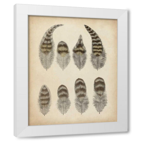 Vintage Feathers I White Modern Wood Framed Art Print by Unknown