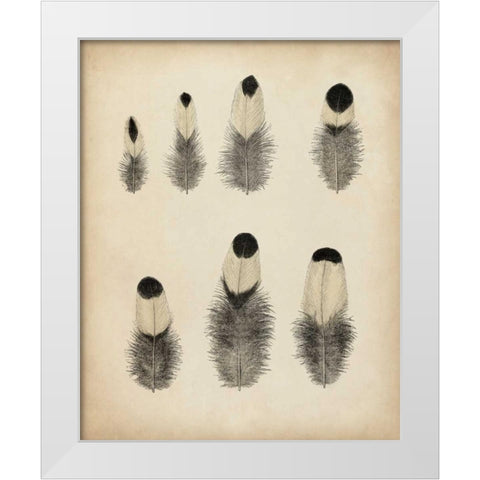 Vintage Feathers II White Modern Wood Framed Art Print by Unknown
