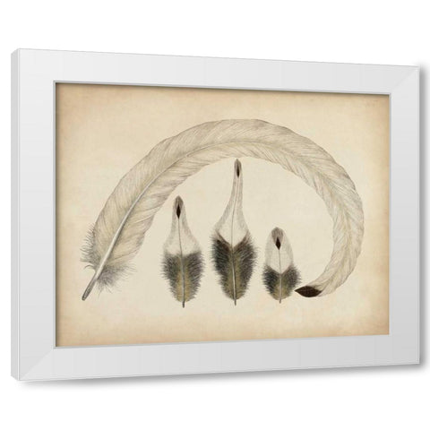 Vintage Feathers IV White Modern Wood Framed Art Print by Unknown