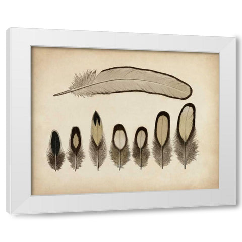 Vintage Feathers IX White Modern Wood Framed Art Print by Unknown
