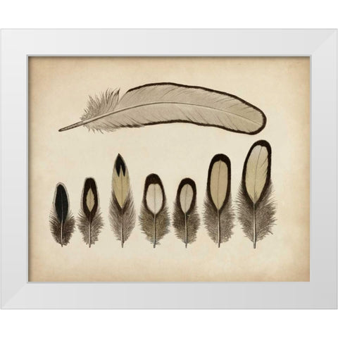 Vintage Feathers IX White Modern Wood Framed Art Print by Unknown
