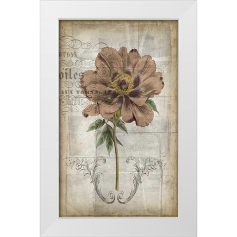 French Floral II White Modern Wood Framed Art Print by Goldberger, Jennifer