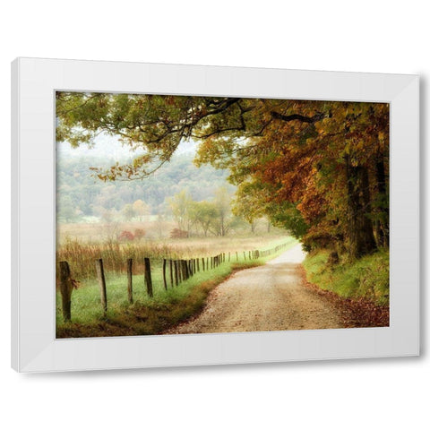 Autumn on a Country Road White Modern Wood Framed Art Print by Head, Danny