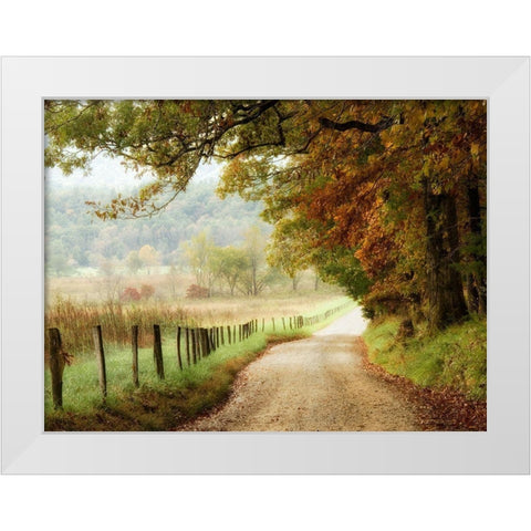 Autumn on a Country Road White Modern Wood Framed Art Print by Head, Danny