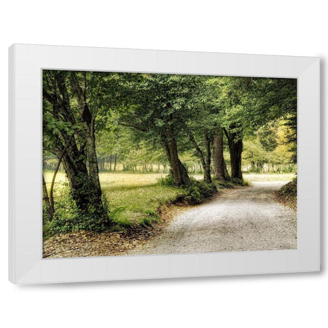 Path in the Country White Modern Wood Framed Art Print by Head, Danny