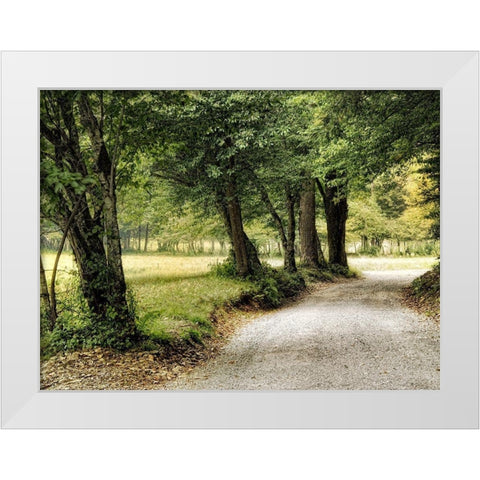 Path in the Country White Modern Wood Framed Art Print by Head, Danny