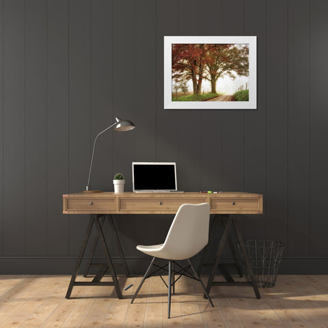 Two Oaks White Modern Wood Framed Art Print by Head, Danny