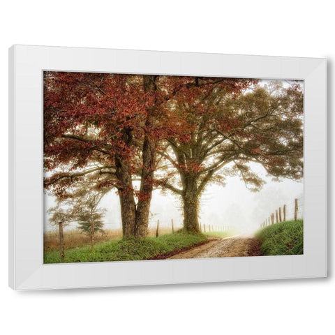 Two Oaks White Modern Wood Framed Art Print by Head, Danny