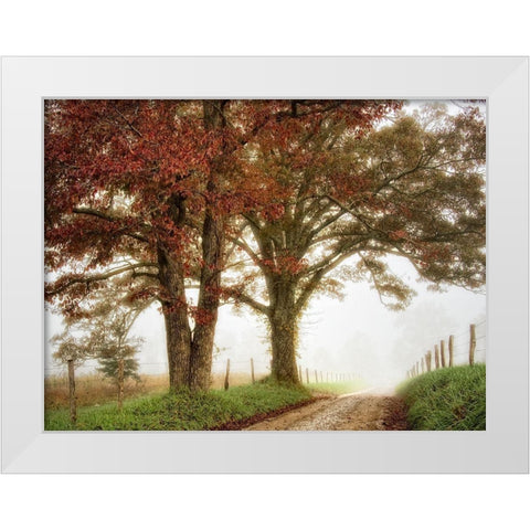 Two Oaks White Modern Wood Framed Art Print by Head, Danny