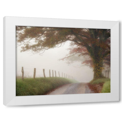 Blanket of Fog White Modern Wood Framed Art Print by Head, Danny