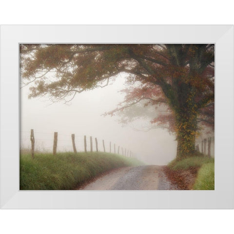 Blanket of Fog White Modern Wood Framed Art Print by Head, Danny